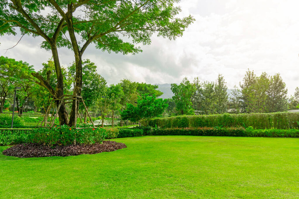 Herbe Burmuda verte fraîche pelouse lisse comme un tapis avec une forme courbe de buisson, des arbres sur le fond, de bons paysages d'entretien dans le jardin d'une maison de luxe sous un ciel nuageux
 - Photo, image