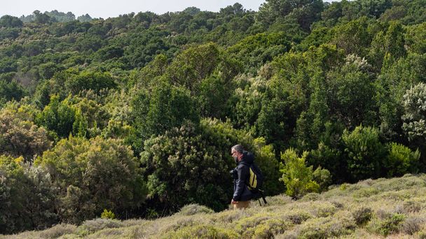 Fotograf wędrujący po lesie Laurisilva. El Hierro jest idealnym miejscem do robienia zdjęć. - Zdjęcie, obraz