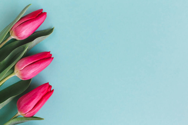 Tendre tulipe rose rouge sur fond turquoise pastel. Carte de voeux pour la fête des Mères. Pose plate. Place pour le texte
.  - Photo, image