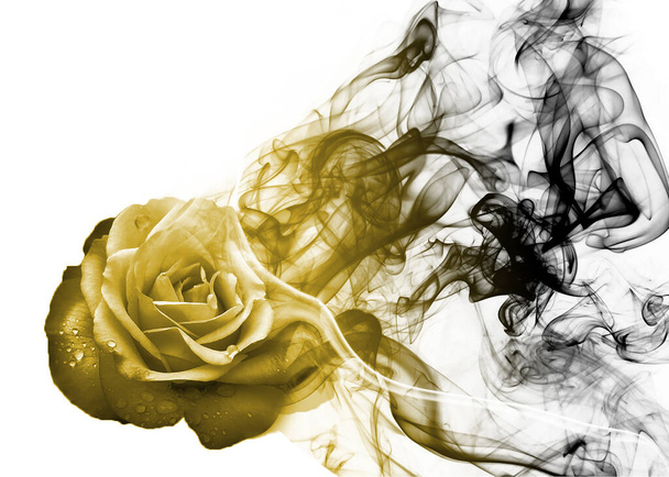 Beautiful and sweet smoke rose from - Foto, Imagen