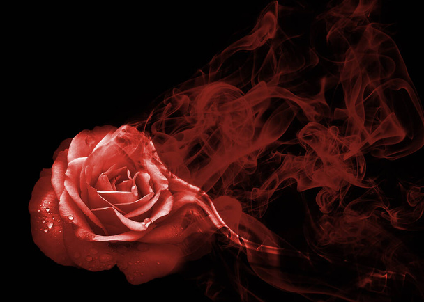 Beautiful and sweet smoke rose from - Foto, afbeelding