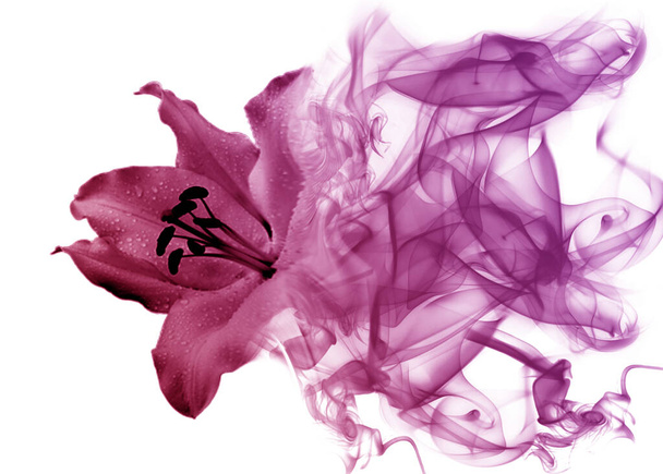 Gyönyörű liliom virág a füsttől - Fotó, kép