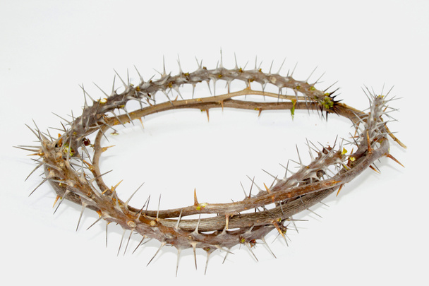 Ramas espinosas tejidas en corona de espinas
 - Foto, Imagen