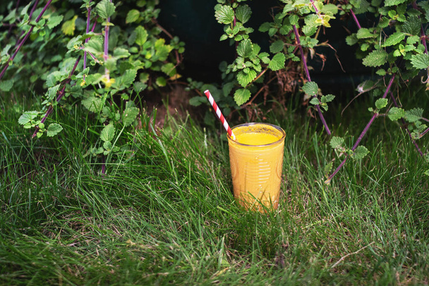 Appetizing thick orange smoothie with an eco paper tube in the backyard. In a glass cup. View from above. Stands in well-groomed grass. - Photo, Image