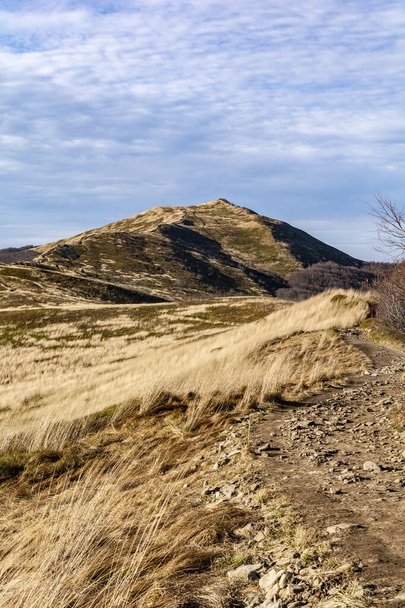 Blick auf den Gipfel (Smerek) in herbstlicher Landschaft. Bieszczady-Gebirge. - Foto, Bild