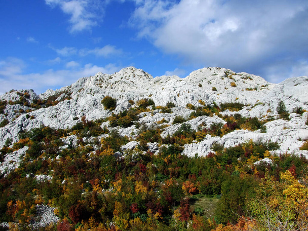 Karst Velebit paisaje a lo largo de la carretera Majstorska y silla de montar Mali Alan - Croacia (Krski velebitski krajobraz uz majstorsku cestu i prijevoj Mali Alan, Velebit - Hrvatska
) - Foto, imagen