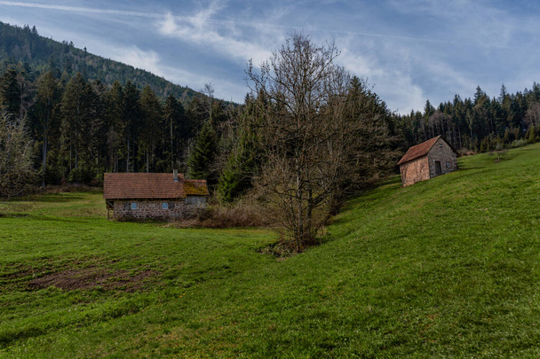 Τοπίο του Μαύρου Δάσους με τυπικά παλιά σπίτια, Γερμανία, Ευρώπη - Φωτογραφία, εικόνα