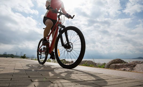 Cropped of female cyclist riding mountain bike on coast trail. - Photo, Image