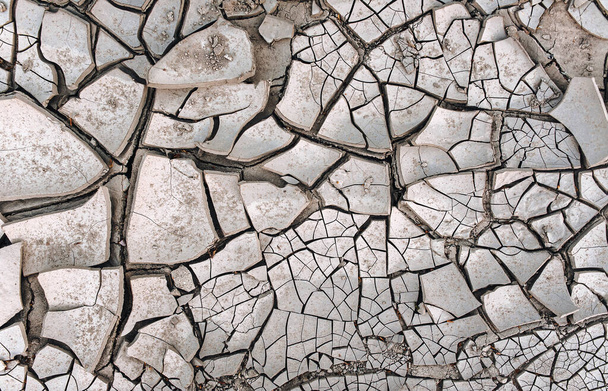 Dry cracked earth. Soil during the drought season. Background close up. The texture of the desert. - Foto, Bild