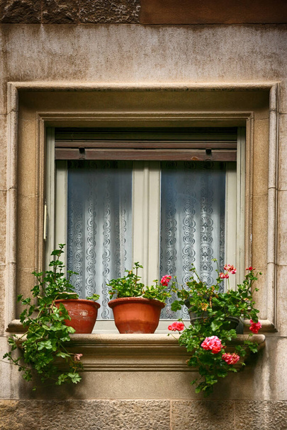 Fenêtre décorée avec des fleurs fraîches dans des pots à Spai
 - Photo, image