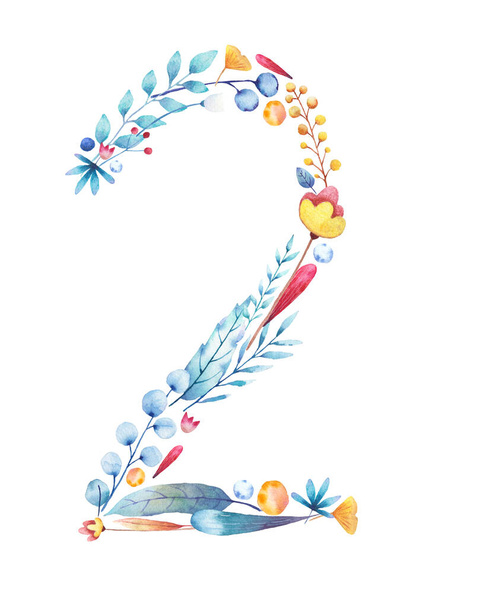 number 2 laid out with leaves of flowers sprigs of blue red yellow on a white background - Foto, imagen