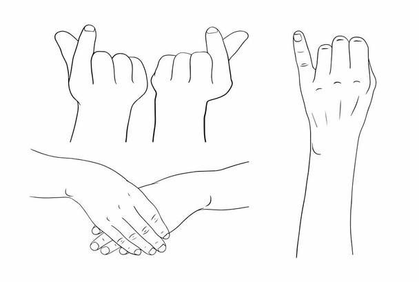 Las manos de las mujeres en varias posturas
. - Vector, Imagen