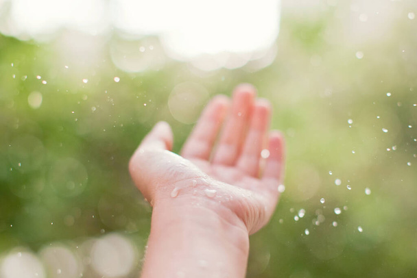 La mano de la mujer coge las gotas de lluvia. Fondo de lluvia
 - Foto, Imagen