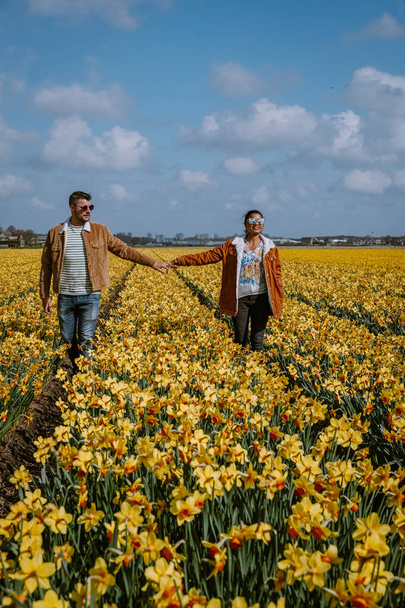 pareja caminando en cama de flores amarillas, hombres y mujeres de mediana edad en flores de narciso amarillo durante la primavera en los Países Bajos Lisse
 - Foto, imagen