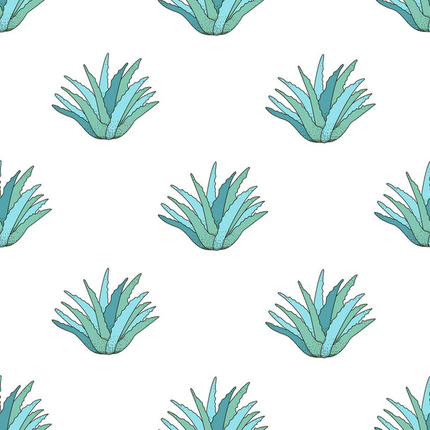 Aloe vera. Seamless pattern. Vector illustration - Vektor, obrázek