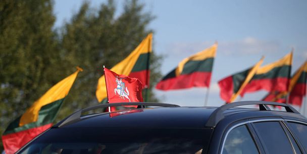 Drapeau de Lituanie, flottant sur la pelouse, drapeau tricolore
 - Photo, image