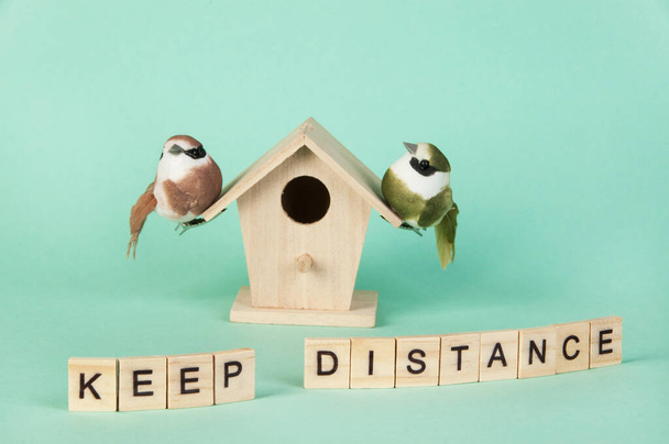 Words keep distance in wood letters and two birds on birdhouse on mint background. Copy space for text. - Photo, Image