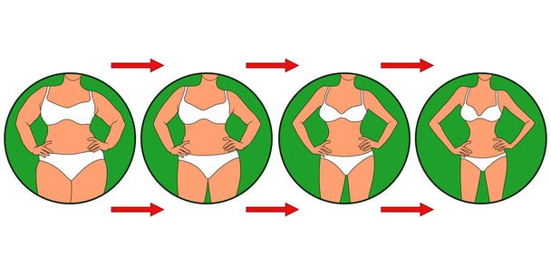 Donna sulla strada per perdere peso, corpo femminile in biancheria intima in cerchio verde, quattro fasi isolate sopra illustrazione bianca
 - Vettoriali, immagini