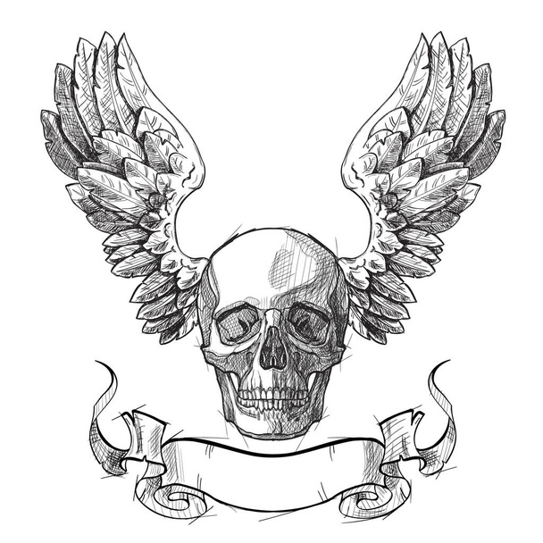 Cráneo con cinta y alas en estilo sketch
 - Vector, imagen