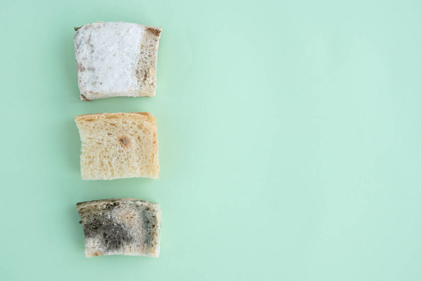 escolha entre três pedaços de pão branco cobertos com diferentes tipos de molde encontram-se no lado esquerdo um fundo verde claro, armazenamento errado de mercadorias, comida não saudável, espaço para texto
 - Foto, Imagem
