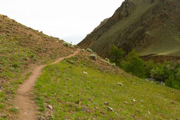 самотній кам'яний шлях серед дерев і скель, походи в гори, подорожі через долину
 - Фото, зображення