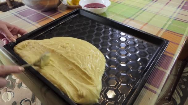 Simple food, pie making. The woman spreads the liquid dough on the baking tray with a spoon, giving it the desired shape for baking. Siberia. - Filmagem, Vídeo