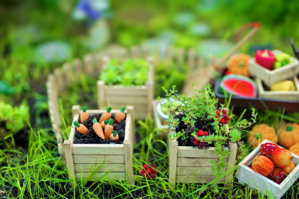 Miniature Garden - Photo, Image