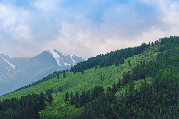 silhouette of mountain range in haze on horizon in mountain valley. Hiking in wild - Foto, afbeelding