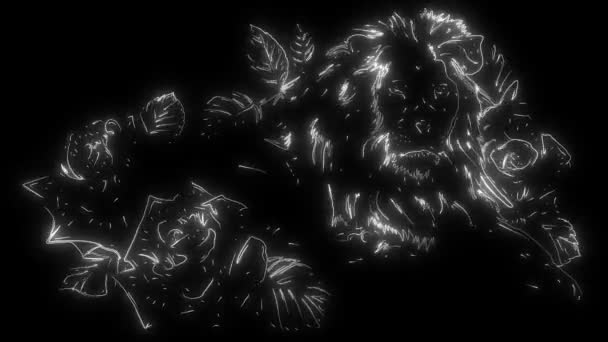 animação de um leão e que ilumina
 - Filmagem, Vídeo