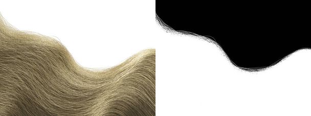 Blonde Wavy Hair Elszigetelt textúra - Fair Locks Alpha Channel - Hosszú fürtök 3D-s modell Renderelés háttér Illusztráció  - Fotó, kép