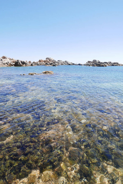 Córsega do Sul, férias à beira-mar na ilha da beleza.França
 - Foto, Imagem