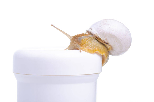 White bottle cream with snail - Foto, afbeelding