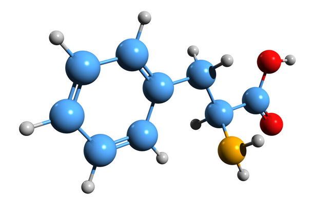 3D εικόνα του σκελετικού τύπου φαινυλαλανίνης - μοριακή χημική δομή του απαραίτητου αμινοξέος που απομονώνεται σε λευκό φόντο - Φωτογραφία, εικόνα