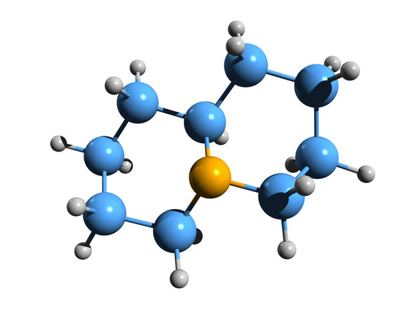 Image 3D de la formule squelettique de la quinolizidine - structure chimique moléculaire du Norlupinane isolé sur fond blanc
 - Photo, image