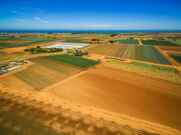 Aerial view of plowed fields and crops near ocean coastline on bright summer day. Werribee South, Victoria, Australia - Foto, Imagem