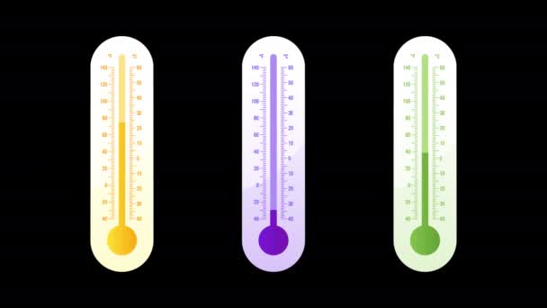 Thermometer three options animation option 1. Transparent background. Loop animation. Motion graphics - Footage, Video