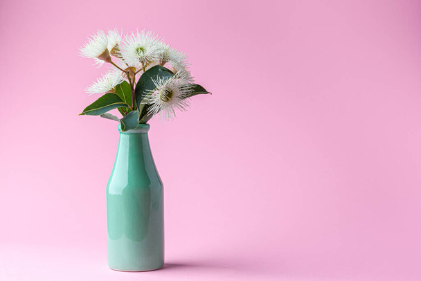 Eucalyptus flowers with leafs in green bottle on pink background with copy space - Fotó, kép
