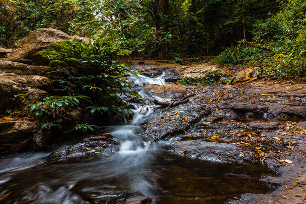 Flowing creek in lush green wild rainforest in Australia - Fotó, kép