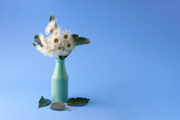 Beautiful arrangement of eucalyptus flowers in a vase on blue background with copy space - Fotó, kép