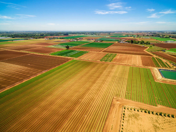 Aerial view of agricultural fields - plowed and with crops on bright summer day in Australia - Fotografie, Obrázek