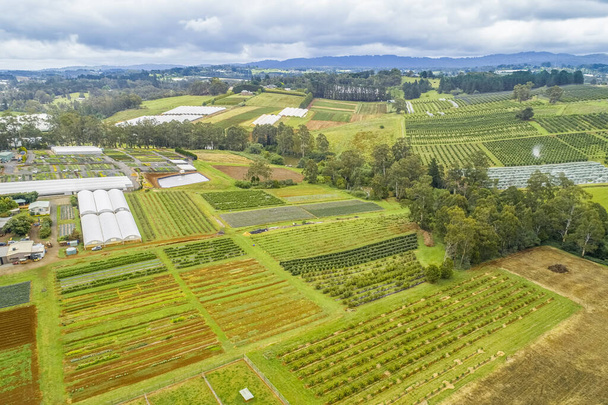 Aerial view of fields in Australian countryside - Foto, Bild