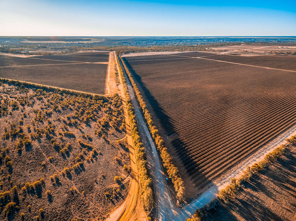 Beautiful vineyards of Banrock Station in Riverland, South Australia - Φωτογραφία, εικόνα