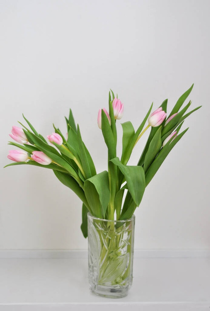 kytice růžových tulipánů na bílém pozadí - Fotografie, Obrázek