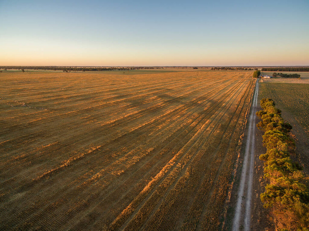 Yellow harvested agricultural fields at sunset aerial view - Φωτογραφία, εικόνα