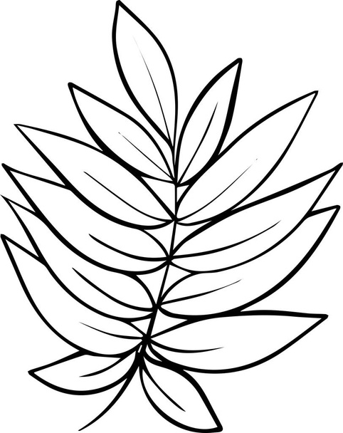um ramo desenhado à mão de folhas em um fundo branco no estilo de um doodle. Ilustração vetorial
 - Vetor, Imagem