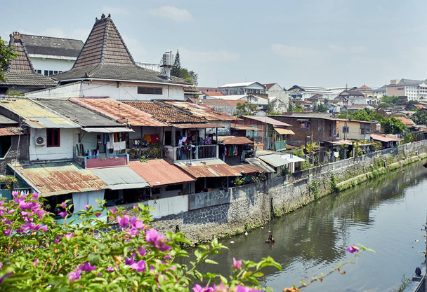 Yogyakarta vista al río con flores
 - Foto, imagen