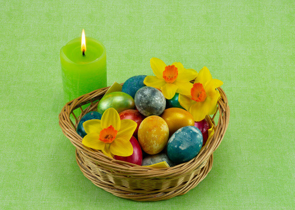 Húsvét, színes festett tojások egy fonott kosár moha, nárcisz és gyertya zöld alapon - Fotó, kép