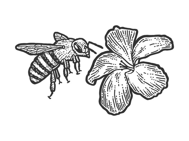 Бджола летить до квітки. Імітація дошки подряпин. Чорно-біле намальоване зображення руки
. - Вектор, зображення