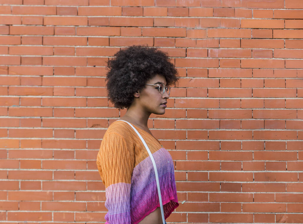 Vista lateral de una preciosa mujer multiétnica con pelo afro con gafas y colores primaverales frente a una pared de ladrillo
 - Foto, Imagen