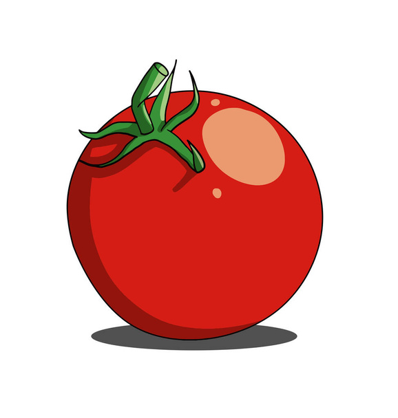 Red single tomato isolated on white background - Vektör, Görsel